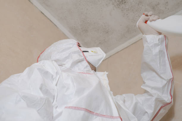 Best Mold Testing  in Millen, GA
